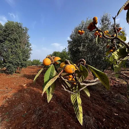 度假居 Trullo Teresa