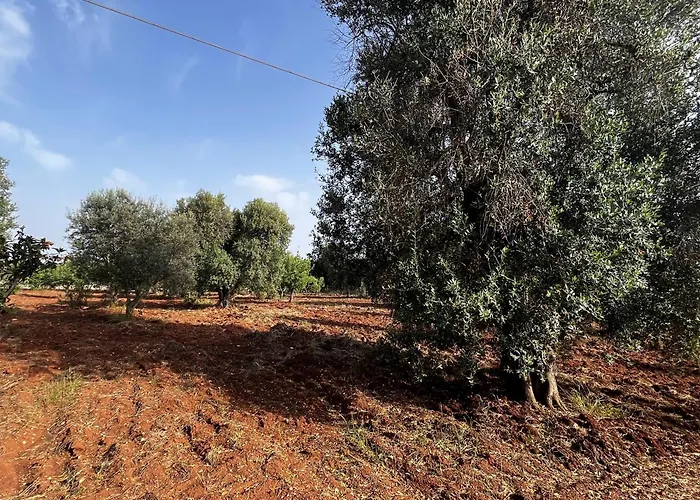 Trullo Teresa 度假居 切列梅萨皮卡