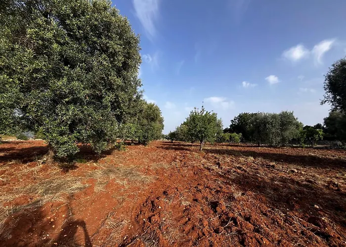 Trullo Teresa * 切列梅萨皮卡