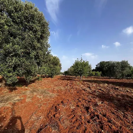 Trullo Teresa * 세글리에 메사피카