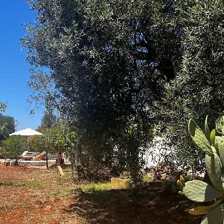 Trullo Teresa