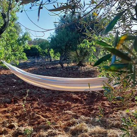 Trullo Teresa Σπίτι διακοπών *