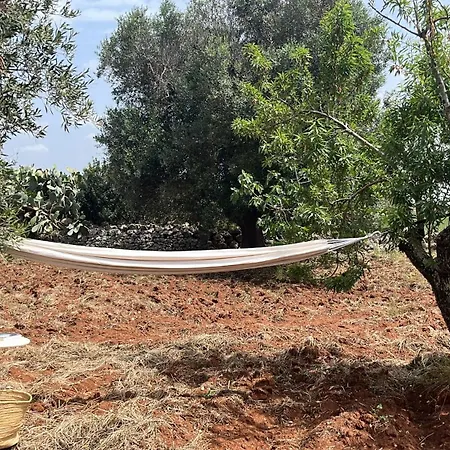 Trullo Teresa 펜션